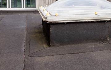disadvantages of Smalley Common flat roofs