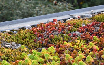 the cost of Smalley Common green roof installation
