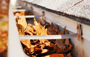 Smalley Common gutter cleaning companies