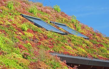 Smalley Common living roof systems